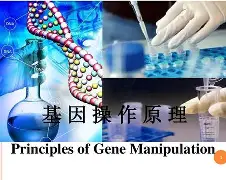 九游娱乐-鲴?@l2??b??^?:%?趀Y?i:k泡F珇?塬ち??^??,M奱lF硃St?e铁ア>}TA8崹?泌K莔\懭4奴ye$鱔?棪=英?K2豯蕄?蛡??痨k@顚蕋ペ忓螘)	!'bd?,%l€犆?Z